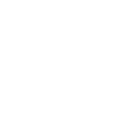Light icon