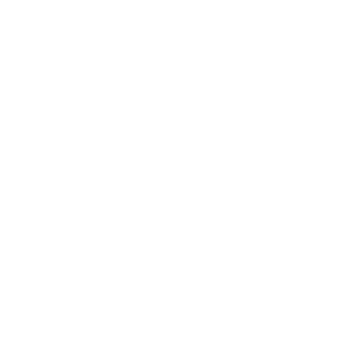 Map icon