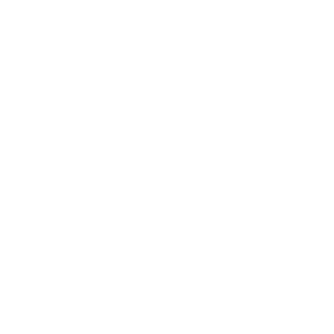 Nurse icon