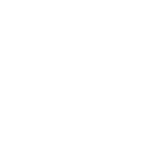 Team icon