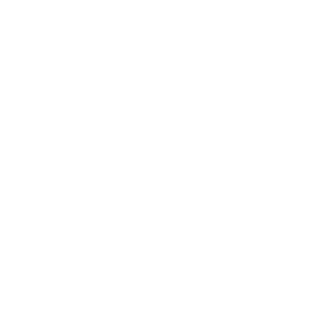 Wheelchair icon
